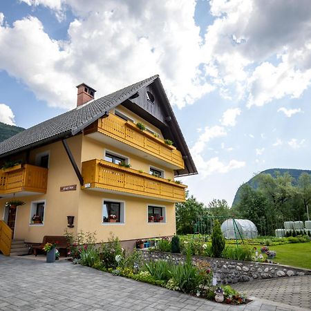 Apartmaji Matej Cvetek بوينج المظهر الخارجي الصورة